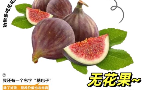 羚锐止痒平牌糠酸莫米松乳膏广告-羚锐糠酸莫米松乳膏说明书网 - 网站提供糠酸莫米松乳膏的说明书小常识、糠酸莫米松乳凝胶